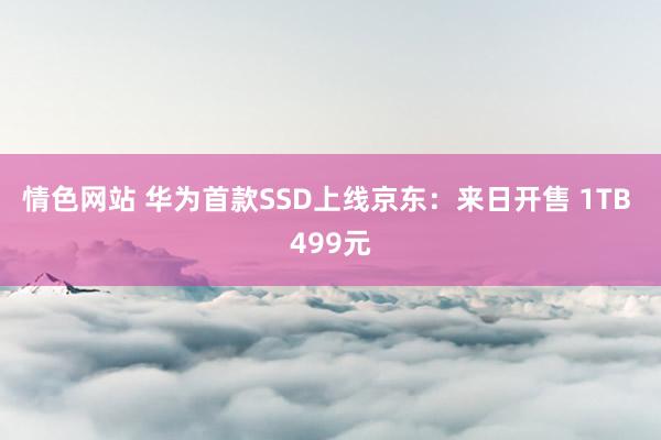 情色网站 华为首款SSD上线京东：来日开售 1TB 499元