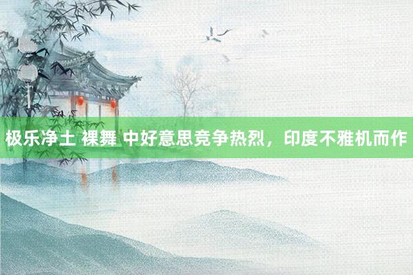 极乐净土 裸舞 中好意思竞争热烈，印度不雅机而作