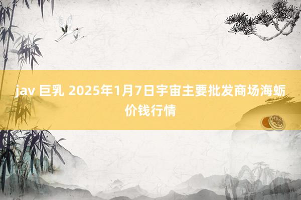 jav 巨乳 2025年1月7日宇宙主要批发商场海蛎价钱行情