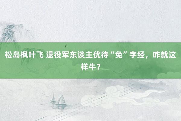 松岛枫叶飞 退役军东谈主优待“免”字经，咋就这样牛？