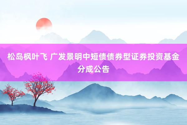 松岛枫叶飞 广发景明中短债债券型证券投资基金分成公告