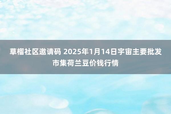 草榴社区邀请码 2025年1月14日宇宙主要批发市集荷兰豆价钱行情