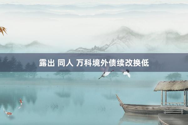 露出 同人 万科境外债续改换低