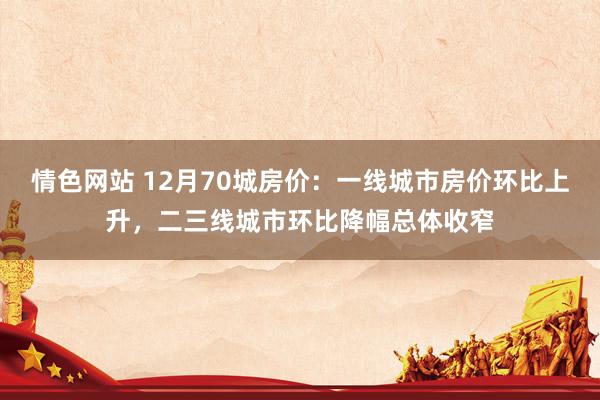 情色网站 12月70城房价：一线城市房价环比上升，二三线城市环比降幅总体收窄