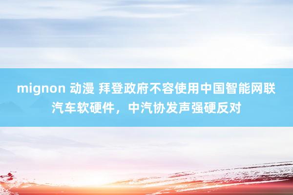mignon 动漫 拜登政府不容使用中国智能网联汽车软硬件，中汽协发声强硬反对