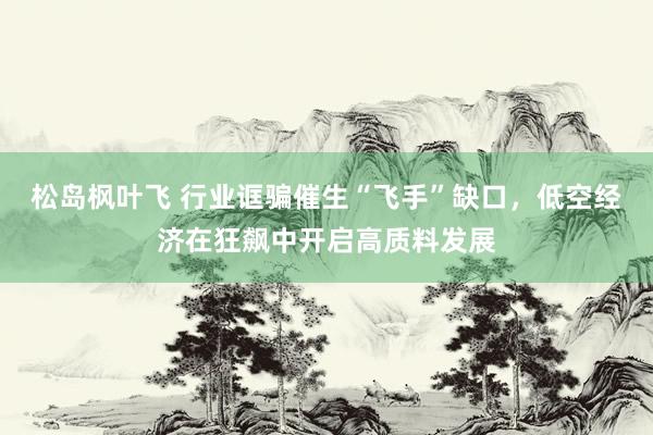 松岛枫叶飞 行业诓骗催生“飞手”缺口，低空经济在狂飙中开启高质料发展