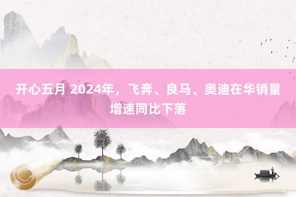 开心五月 2024年，飞奔、良马、奥迪在华销量增速同比下落