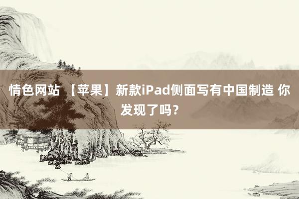 情色网站 【苹果】新款iPad侧面写有中国制造 你发现了吗？