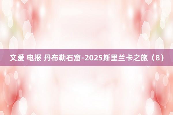 文爱 电报 丹布勒石窟-2025斯里兰卡之旅（8）