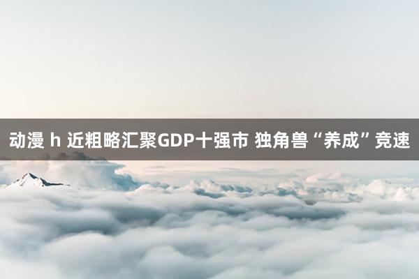 动漫 h 近粗略汇聚GDP十强市 独角兽“养成”竞速