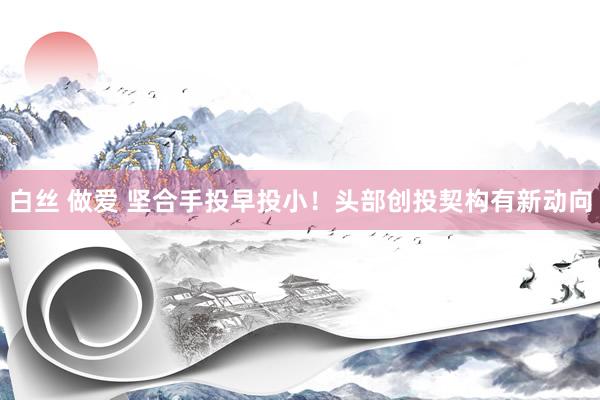 白丝 做爱 坚合手投早投小！头部创投契构有新动向