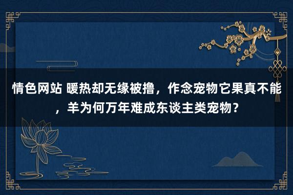 情色网站 暖热却无缘被撸，作念宠物它果真不能，羊为何万年难成东谈主类宠物？