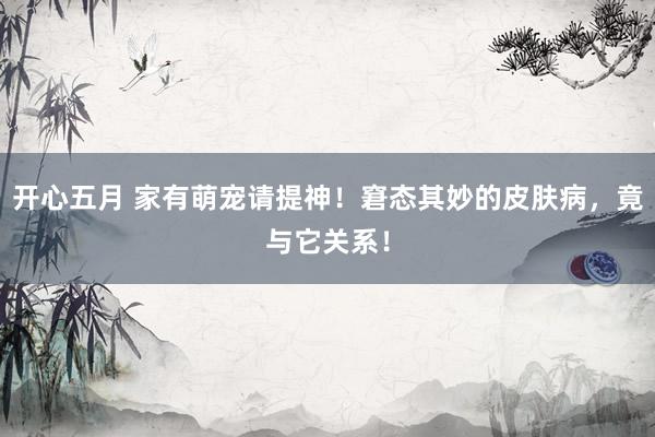 开心五月 家有萌宠请提神！窘态其妙的皮肤病，竟与它关系！