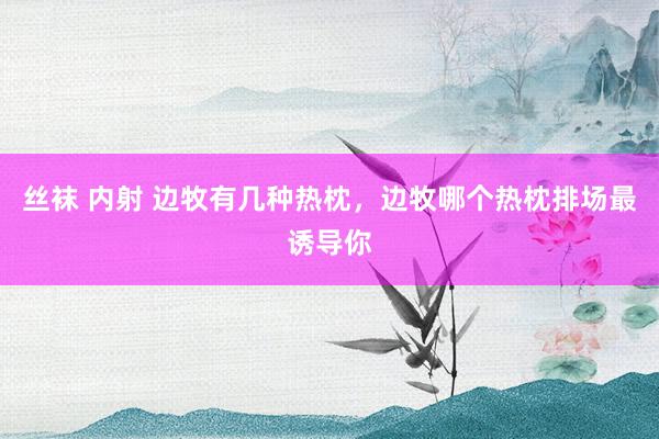 丝袜 内射 边牧有几种热枕，边牧哪个热枕排场最诱导你