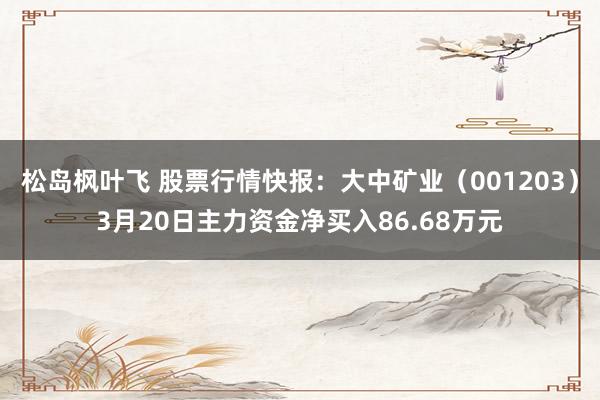 松岛枫叶飞 股票行情快报：大中矿业（001203）3月20日主力资金净买入86.68万元