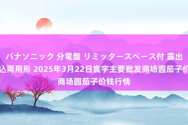 パナソニック 分電盤 リミッタースペース付 露出・半埋込両用形 2025年3月22日寰宇主要批发商场圆茄子价钱行情