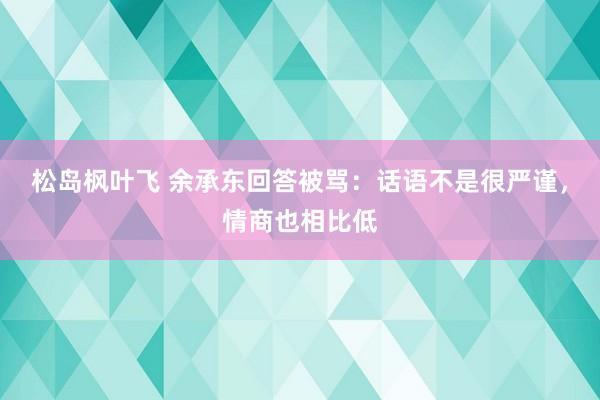 松岛枫叶飞 余承东回答被骂：话语不是很严谨，情商也相比低