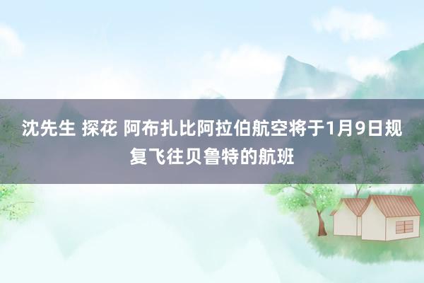 沈先生 探花 阿布扎比阿拉伯航空将于1月9日规复飞往贝鲁特的航班