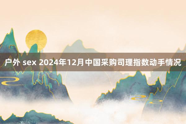 户外 sex 2024年12月中国采购司理指数动手情况