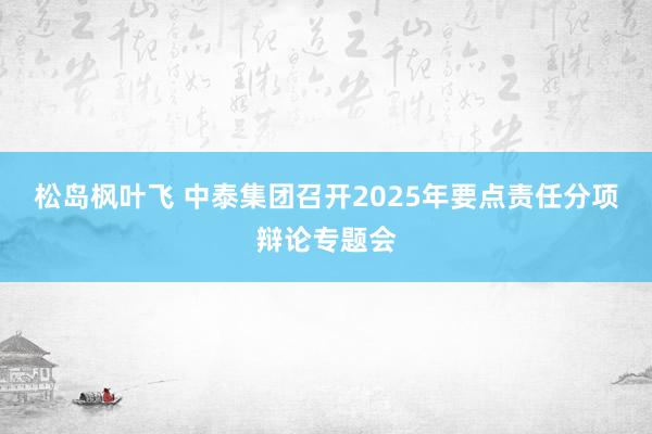松岛枫叶飞 中泰集团召开2025年要点责任分项辩论专题会