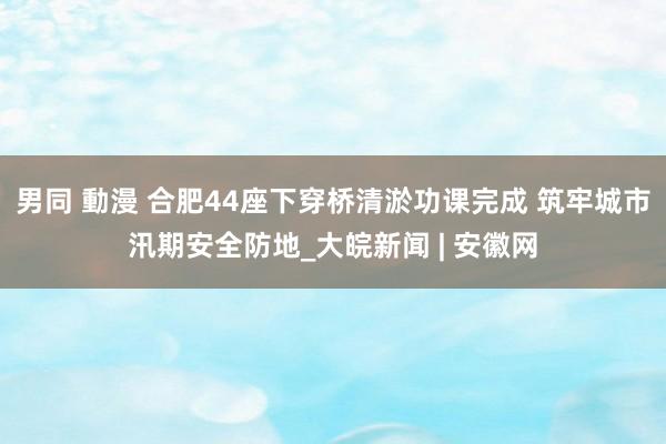 男同 動漫 合肥44座下穿桥清淤功课完成 筑牢城市汛期安全防地_大皖新闻 | 安徽网