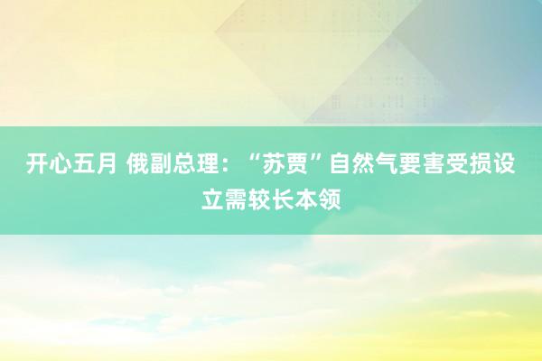 开心五月 俄副总理：“苏贾”自然气要害受损设立需较长本领