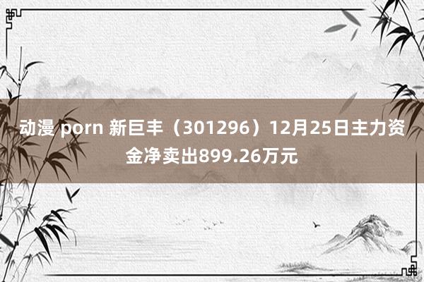 动漫 porn 新巨丰（301296）12月25日主力资金净卖出899.26万元