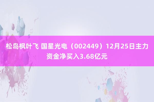 松岛枫叶飞 国星光电（002449）12月25日主力资金净买入3.68亿元