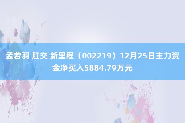 孟若羽 肛交 新里程（002219）12月25日主力资金净买入5884.79万元