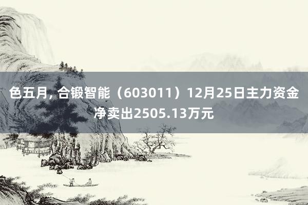 色五月， 合锻智能（603011）12月25日主力资金净卖出2505.13万元