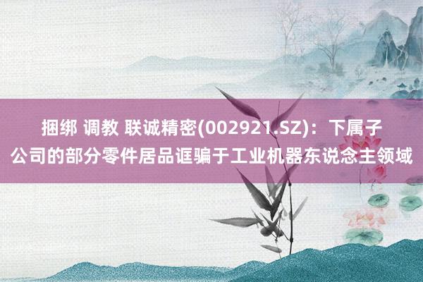 捆绑 调教 联诚精密(002921.SZ)：下属子公司的部分零件居品诓骗于工业机器东说念主领域