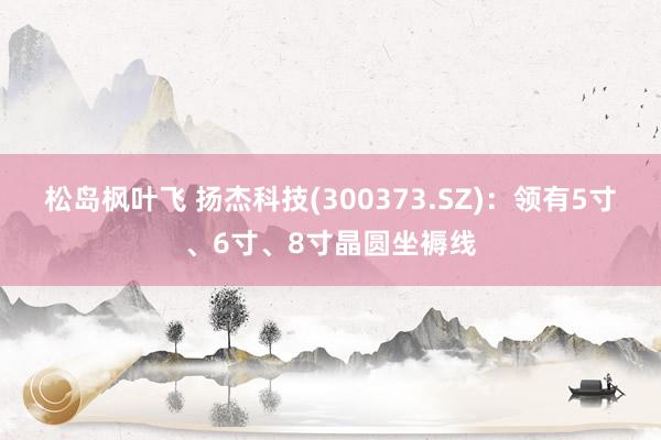 松岛枫叶飞 扬杰科技(300373.SZ)：领有5寸、6寸、8寸晶圆坐褥线