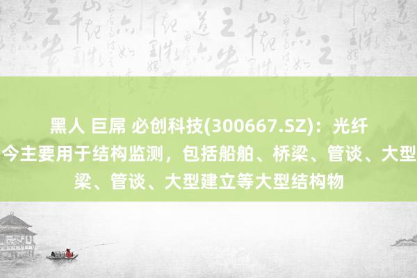 黑人 巨屌 必创科技(300667.SZ)：光纤光栅应变传感器当今主要用于结构监测，包括船舶、桥梁、管谈、大型建立等大型结构物