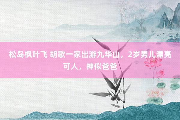 松岛枫叶飞 胡歌一家出游九华山，2岁男儿漂亮可人，神似爸爸