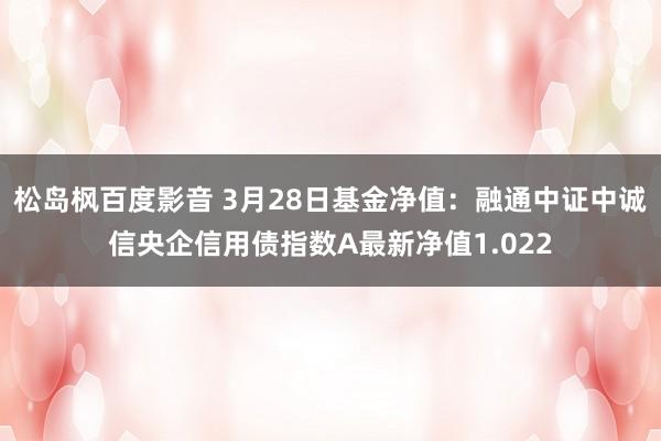 松岛枫百度影音 3月28日基金净值：融通中证中诚信央企信用债指数A最新净值1.022