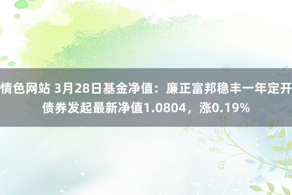情色网站 3月28日基金净值：廉正富邦稳丰一年定开债券发起最新净值1.0804，涨0.19%