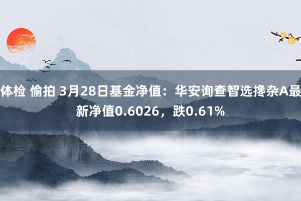 体检 偷拍 3月28日基金净值：华安询查智选搀杂A最新净值0.6026，跌0.61%