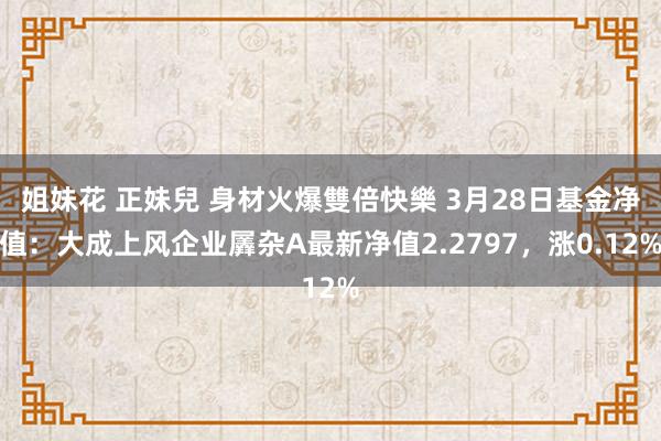 姐妹花 正妹兒 身材火爆雙倍快樂 3月28日基金净值：大成上风企业羼杂A最新净值2.2797，涨0.12%