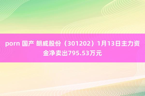 porn 国产 朗威股份（301202）1月13日主力资金净卖出795.53万元