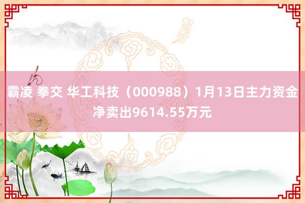 霸凌 拳交 华工科技（000988）1月13日主力资金净卖出9614.55万元