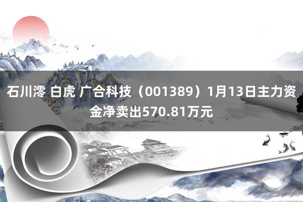 石川澪 白虎 广合科技（001389）1月13日主力资金净卖出570.81万元