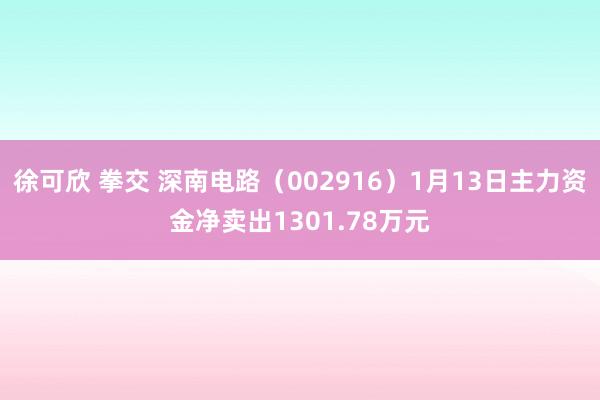 徐可欣 拳交 深南电路（002916）1月13日主力资金净卖出1301.78万元