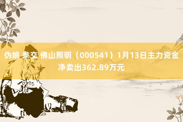 伪娘 拳交 佛山照明（000541）1月13日主力资金净卖出362.89万元