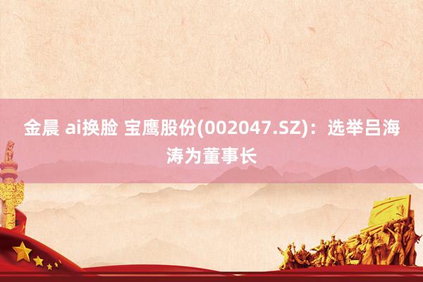 金晨 ai换脸 宝鹰股份(002047.SZ)：选举吕海涛为董事长