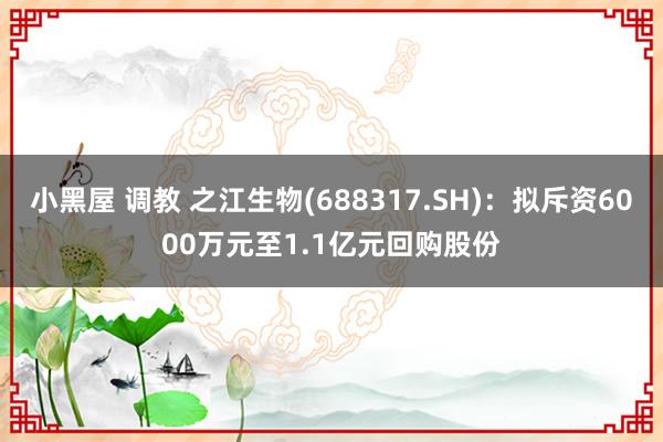 小黑屋 调教 之江生物(688317.SH)：拟斥资6000万元至1.1亿元回购股份