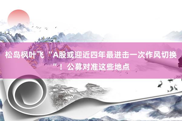 松岛枫叶飞 “A股或迎近四年最进击一次作风切换”！公募对准这些地点