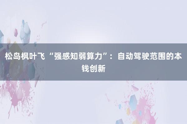 松岛枫叶飞 “强感知弱算力”：自动驾驶范围的本钱创新