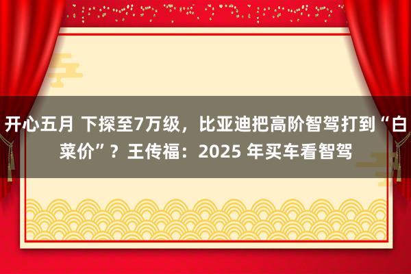 开心五月 下探至7万级，比亚迪把高阶智驾打到“白菜价”？王传福：2025 年买车看智驾
