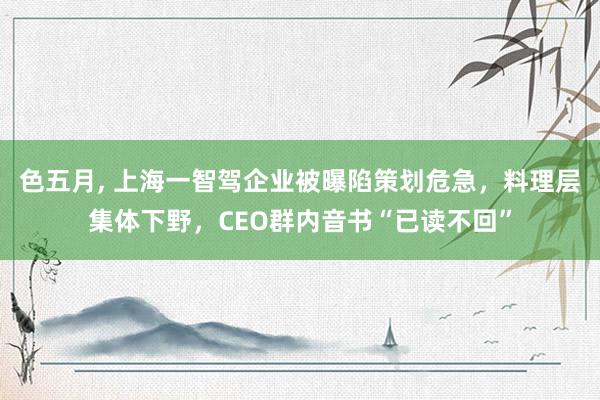 色五月， 上海一智驾企业被曝陷策划危急，料理层集体下野，CEO群内音书“已读不回”