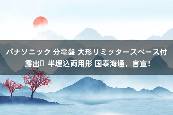 パナソニック 分電盤 大形リミッタースペース付 露出・半埋込両用形 国泰海通，官宣！
